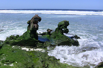 卡胡卢伊港口查询_kahului港口代码_美属太平洋群岛卡胡卢伊港口代码